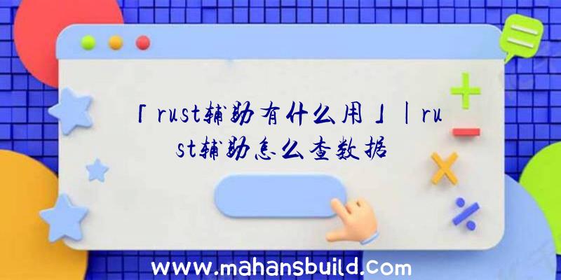 「rust辅助有什么用」|rust辅助怎么查数据